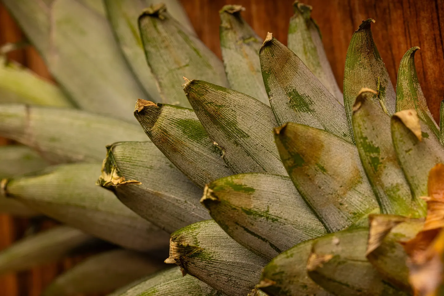 Ananás – ingredientes naturais