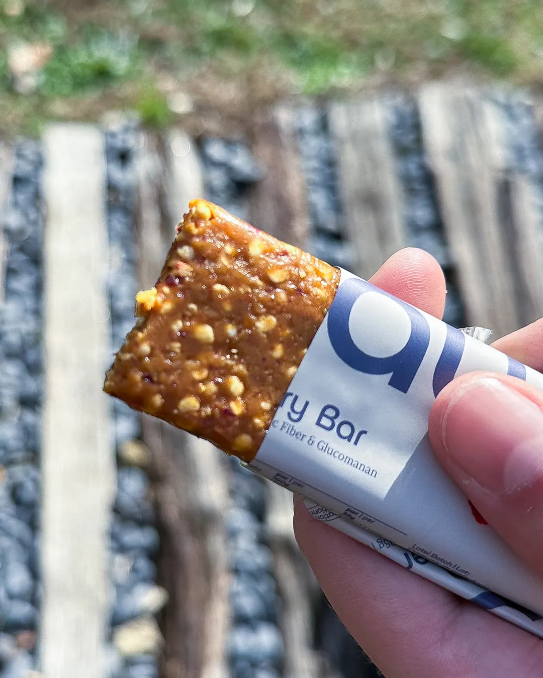Hunger Berry Bar